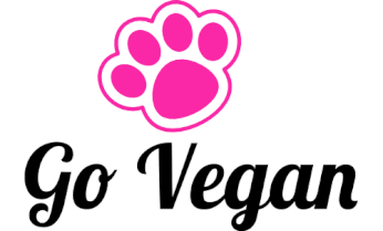 Go Vegan Innsbruck's erstes veganes Bistro