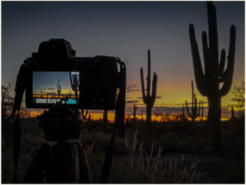 Roadtrip Arizona, Tucson, Sonora Desert, Saguaro, Sabino Canyon Sunset