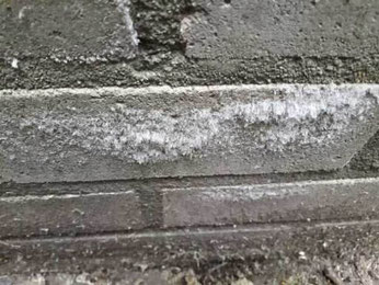 Salzausblühungen / Salpeter an einer Wand Abtec Köln-Bonn-Düsseldorf