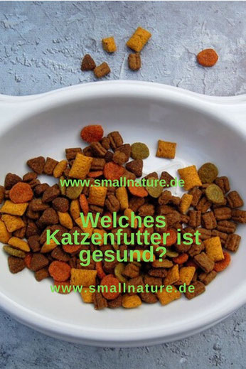 Katzenfutter gesund?