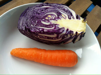 Rotkohl und Karotte für veganen coleslaw