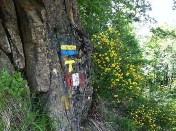 Markierungen am Franziskus-Weg