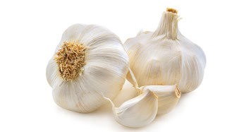 gesunder Knoblauch