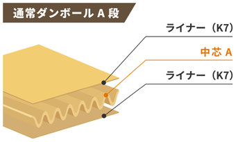 通常ダンボールA段の構造イメージ