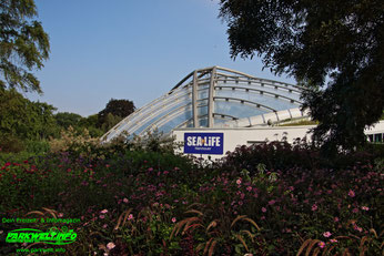 Sea Life Hannover Aquarium Ausflugsziel Fische Niedersachsen Merlin Familienzeit Rabatt Attraktionen Park Plan Bilder Anfahrt Adresse 