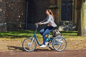 Van Raam Maxi Dreirad Elektro-Dreirad in Braunschweig probefahren und kaufen