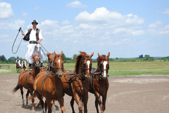 Ausflug in die Puszta