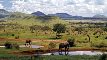 Tsawo East National Park - Kenya