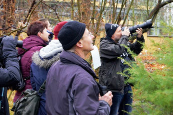 Vogelbeobachtung im Botanischen Garten. Foto: René Sievert