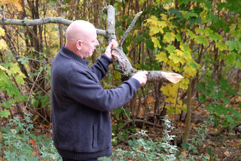 Dr. Otto informierte über Totholz und über die Bedeutung der Pilze im Auwald.