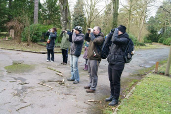 Zur Stunde der Wintervögel hatte der NABU Leipzig auch Führungen angeboten, beispielsweise über den Südfriedhof. Foto: René Sievert