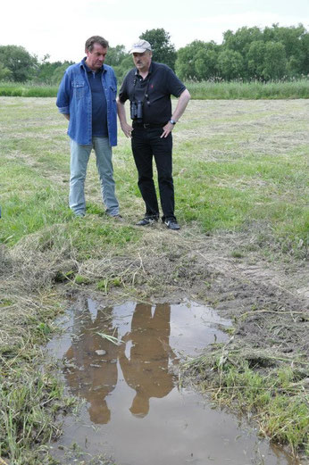 NABU-Präsident Olaf Tschimpke (rechts) und Bernd Heinitz, Vorsitzender des NABU-Landesverbands Sachsen, bei der Exkursion durch die Luppeaue. Foto: Ina Ebert