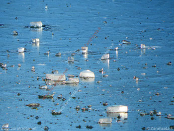 Kleine Eisschollen auf zugefrorenem See