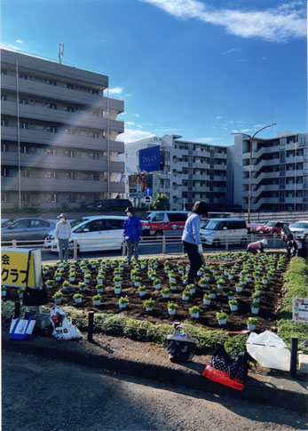 写真：公園緑地協会賞／みんなの花壇（鷺沼町会）