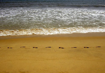 schritte im sand