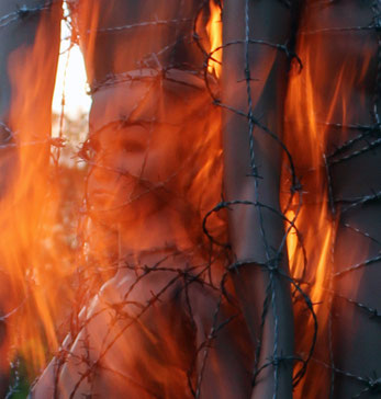 culturel,bernard,magrez,artiste,art,contemporain,bordeaux,pauillac,laurent,valera