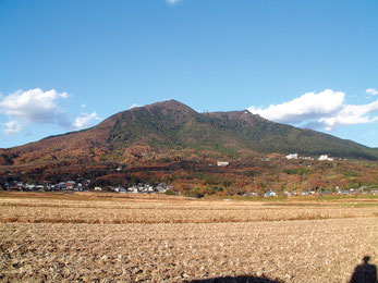 提供：つくば市