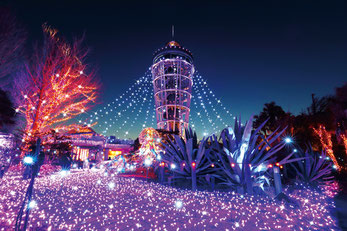 ©公益社団法人藤沢市観光協会