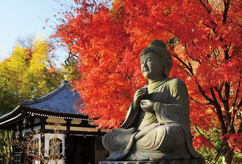 画像提供：鎌倉長谷寺