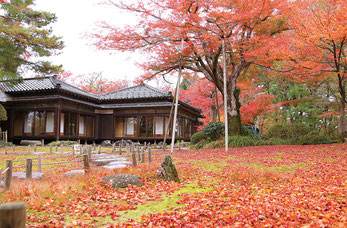 写真提供:地域おこし協力隊 佐藤亮