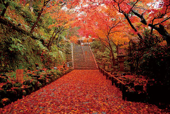 画像提供：鎌倉長谷寺