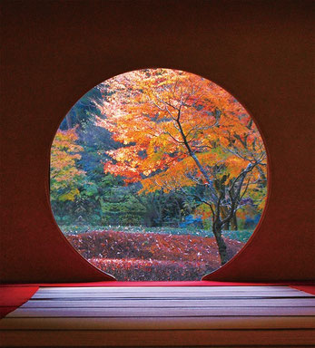 画像提供：明月院