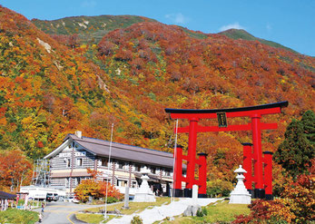 写真提供：出羽三山神社