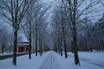 Weg vom Herrenkrug Park Richtung Hochschulcampus.