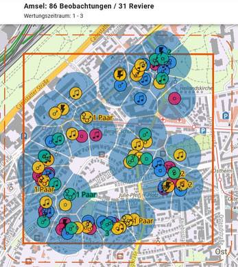 Automatische Revierabgrenzung mit Autoterri auf der Plattform DBird