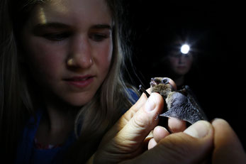 Junges Mädchen mit Fledermaus in der Hand