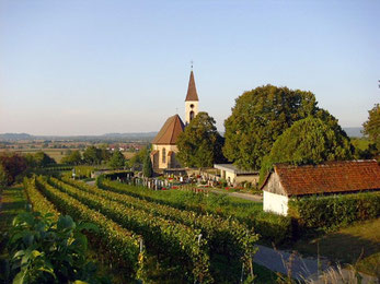 Die Bergkirche von Teningen-Nimburg am Rand des Kaiserstuhls