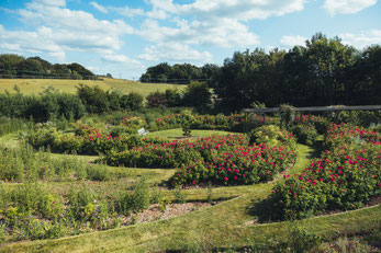 Der Garten in den Outskirts von Edinburgh