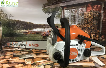 Stihl Motorsäge MS 162 Carvingsäge, die Einsteigersäge für Motorsägenkünstler von Kruse Gartentechnik.