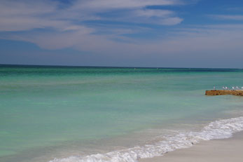 Anna Maria Island Coquina Beach Florida