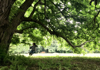Mädchen auf der Schaukel unter dem Geäst unter dem Blätterdach eines alten Baumes im Park.