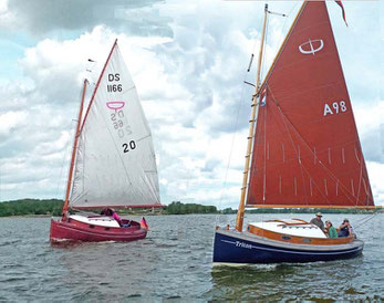 Catboote auf der Schlei: Ole und Triton zeigen sich von ihren besten Seiten