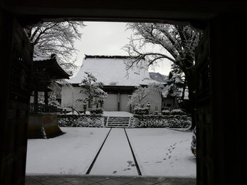 興行寺　境内の雪も少なく・・・　　　写真　　大谷幸美