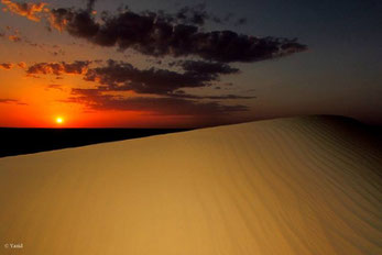 Puesta de sol en el Sáhara