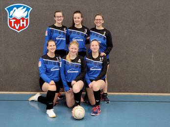 Geschafft: nach dem Sieg im letzten Spiel gegen ASV Veitsbronn stand der Aufstieg in die 2. Bundesliga für die Frauen des TVHs fest (h. v.l.n.r.): Benita Höckele, Amelie Bäuerle, Leonie Grulke, Lena Feltl. (v.l.n.r.) MMarina Stelzenmüller, Hanna Störkle