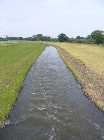 Die Neue Luppe ist ein Kanal, der die Nordwestaue entwässert. Die eingedeichten und begradigten Flüsse versorgen die Aue nicht mehr mit Hochwasser. Foto: Claudia Tavares