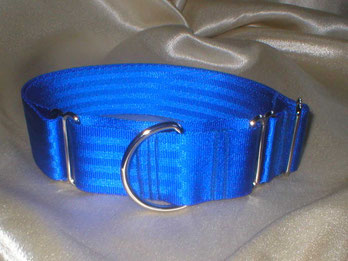 Martingale, Halsband, 4cm, Gurtband königsblau