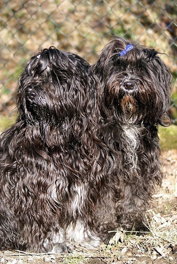 Halbgeschwister Yeshi (16 Monate) und Kar-mi (fast 9 Jahre)
