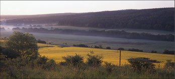 1999