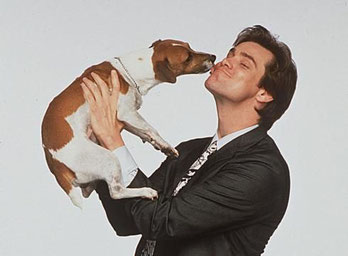 photo film jack russel the mask jim carrey