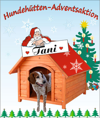 Klick aufs Bild - und alles Wissenswerte über Tani öffnet sich!
