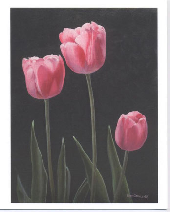 "Three Tulips"     14 x 18