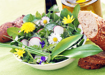 Der Duft von wilden Blumen und Kräutern