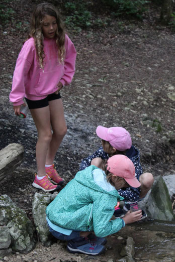 Als Naturforscher sind wir bei diesem Kidscamp der Natur auf der Spur