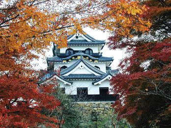 （公社）びわこビジターズビューロー