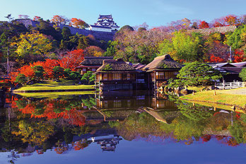 （公社）びわこビジターズビューロー